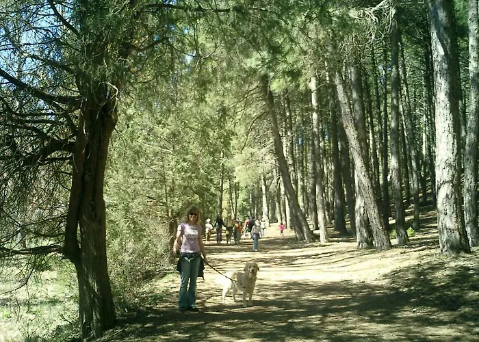 Casa Rural Canon De Rio Lobos II